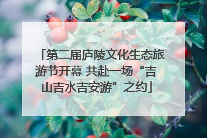 第二届庐陵文化生态旅游节开幕 共赴一场“吉山吉水吉安游”之约