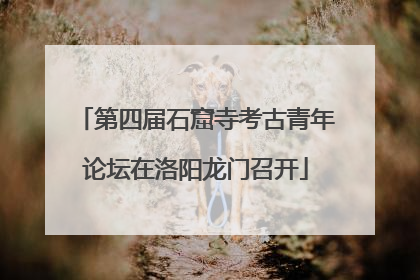 第四届石窟寺考古青年论坛在洛阳龙门召开
