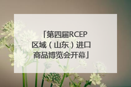 第四届RCEP区域（山东）进口商品博览会开幕