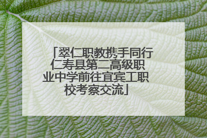翠仁职教携手同行 仁寿县第二高级职业中学前往宜宾工职校考察交流
