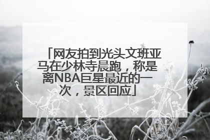 网友拍到光头文班亚马在少林寺晨跑，称是离NBA巨星最近的一次，景区回应