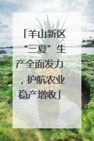 羊山新区“三夏”生产全面发力，护航农业稳产增收
