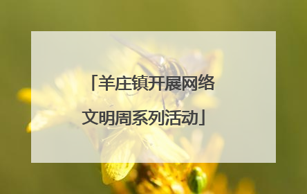 羊庄镇开展网络文明周系列活动