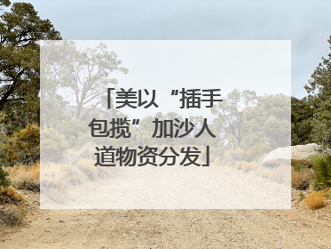 美以“插手包揽”加沙人道物资分发