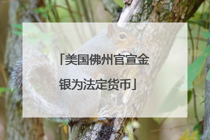美国佛州官宣金银为法定货币