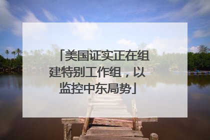 美国证实正在组建特别工作组，以监控中东局势