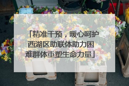 精准干预，暖心呵护 西湖区助联体助力困难群体重塑生命力量