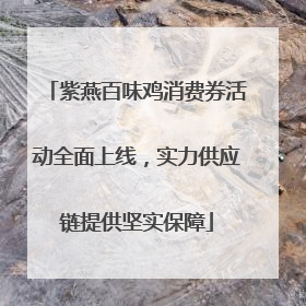 紫燕百味鸡消费券活动全面上线，实力供应链提供坚实保障