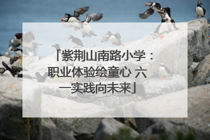 紫荆山南路小学：职业体验绘童心 六一实践向未来