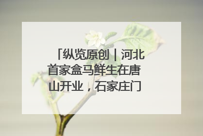 纵览原创｜河北首家盒马鲜生在唐山开业，石家庄门店预计8月开业