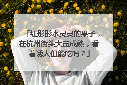 红彤彤水灵灵的果子，在杭州街头大量成熟，看着诱人但能吃吗？