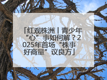 红观株洲丨青少年“心”事如何解？2025年首场“株事好商量”议良方