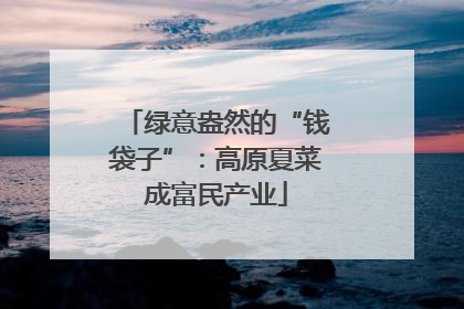 绿意盎然的“钱袋子”：高原夏菜成富民产业