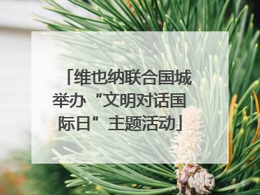 维也纳联合国城举办“文明对话国际日”主题活动