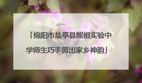 绵阳市盐亭县嫘祖实验中学师生巧手剪出家乡神韵