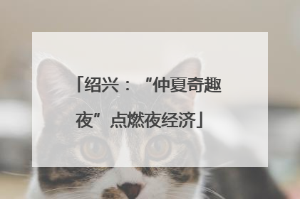 绍兴：“仲夏奇趣夜”点燃夜经济