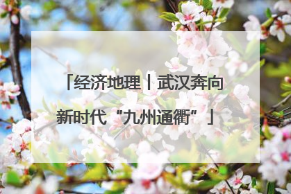 经济地理丨武汉奔向新时代“九州通衢”