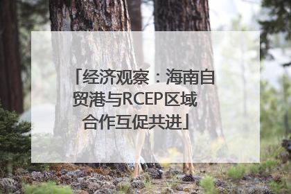 经济观察：海南自贸港与RCEP区域合作互促共进