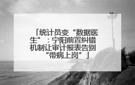 统计员变“数据医生”：宁阳前置纠错机制让审计报表告别“带病上岗”