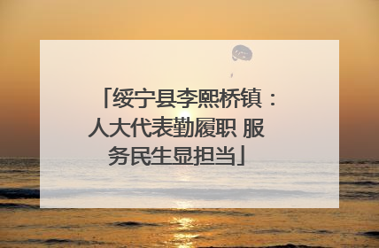 绥宁县李熙桥镇：人大代表勤履职 服务民生显担当