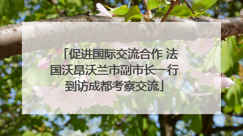 促进国际交流合作 法国沃昂沃兰市副市长一行到访成都考察交流