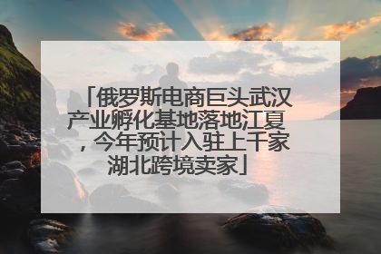 俄罗斯电商巨头武汉产业孵化基地落地江夏，今年预计入驻上千家湖北跨境卖家