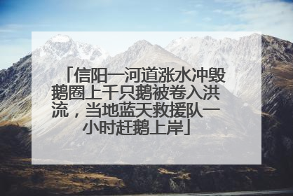 信阳一河道涨水冲毁鹅圈上千只鹅被卷入洪流，当地蓝天救援队一小时赶鹅上岸