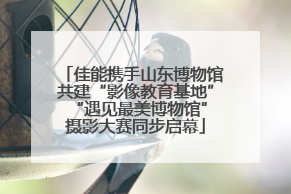 佳能携手山东博物馆共建“影像教育基地” “遇见最美博物馆”摄影大赛同步启幕