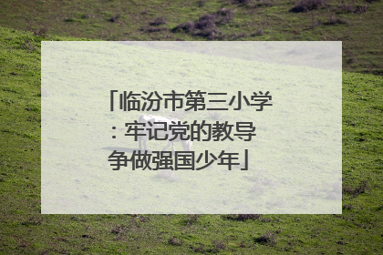 临汾市第三小学：牢记党的教导 争做强国少年
