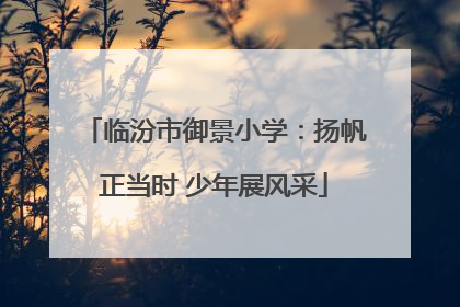 临汾市御景小学：扬帆正当时 少年展风采