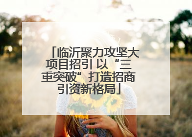 临沂聚力攻坚大项目招引 以“三重突破”打造招商引资新格局