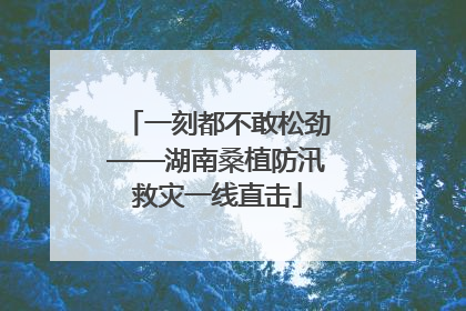 一刻都不敢松劲——湖南桑植防汛救灾一线直击
