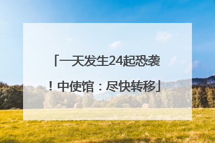 一天发生24起恐袭！中使馆：尽快转移
