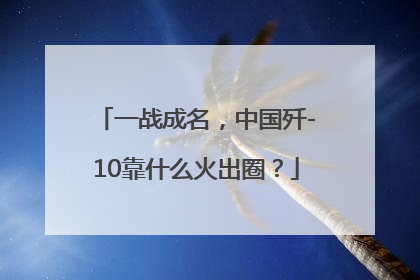 一战成名，中国歼-10靠什么火出圈？
