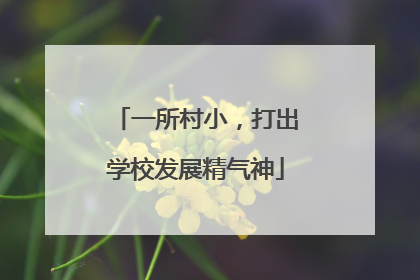 一所村小，打出学校发展精气神