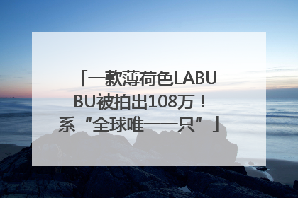 一款薄荷色LABUBU被拍出108万！系“全球唯一一只”
