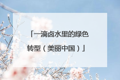 一滴卤水里的绿色转型（美丽中国）