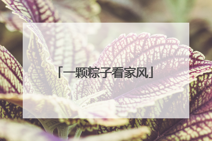 一颗粽子看家风