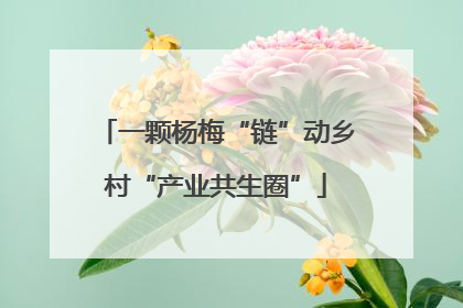 一颗杨梅“链”动乡村“产业共生圈”