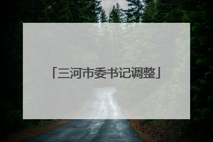 三河市委书记调整