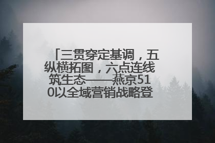 三贯穿定基调，五纵横拓图，六点连线筑生态——燕京510以全域营销战略登顶行业IP新高度