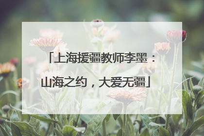 上海援疆教师李墨：山海之约，大爱无疆