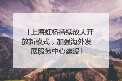 上海虹桥持续放大开放新模式，加强海外发展服务中心建设