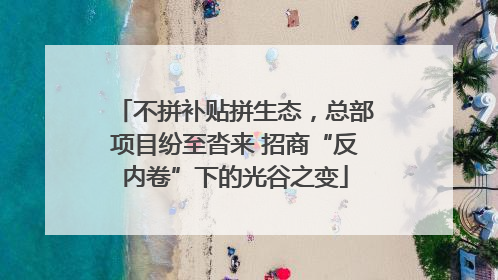 不拼补贴拼生态，总部项目纷至沓来 招商“反内卷”下的光谷之变