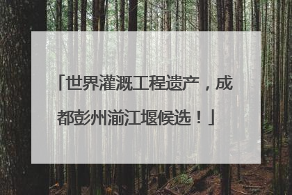 世界灌溉工程遗产，成都彭州湔江堰候选！