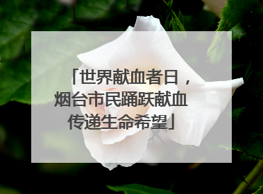 世界献血者日，烟台市民踊跃献血传递生命希望