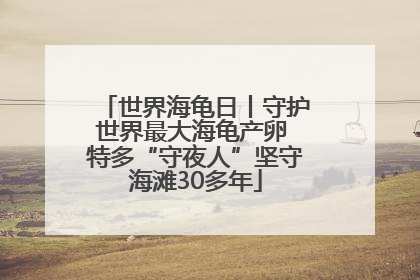 世界海龟日丨守护世界最大海龟产卵 特多“守夜人”坚守海滩30多年