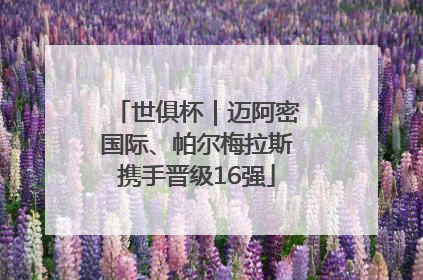 世俱杯｜迈阿密国际、帕尔梅拉斯携手晋级16强