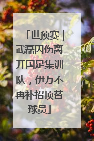 世预赛｜武磊因伤离开国足集训队，伊万不再补招顶替球员