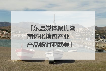 东盟媒体聚焦湖南怀化箱包产业 产品畅销亚欧美